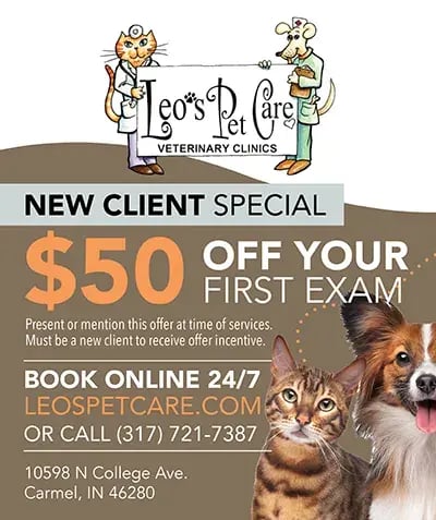 New Client Special