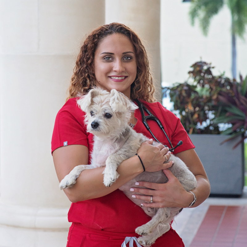 Dr. Jasmyn Bryant Dr. Jasmyn Bryant