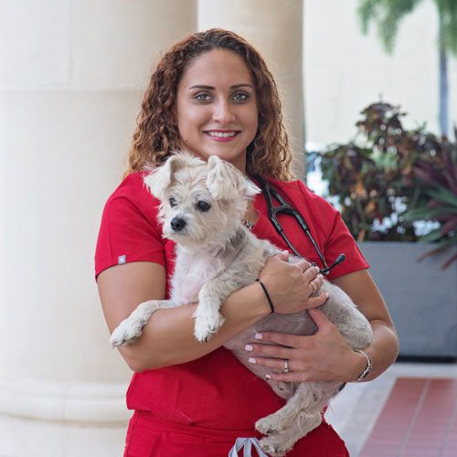 smiling female veterinarian holding small white dog