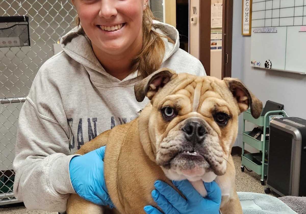 technician with a dog who's about to get a vaccine